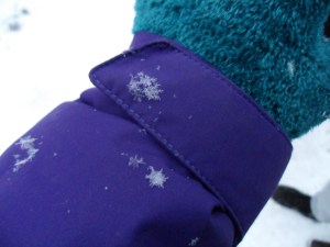 REAL-REAL snowflakes!!!  Freaking AWESOME!