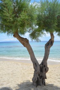 Paradise Beach, Mykonos, Greece