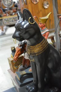 I think Shadow could rock this look pretty well.